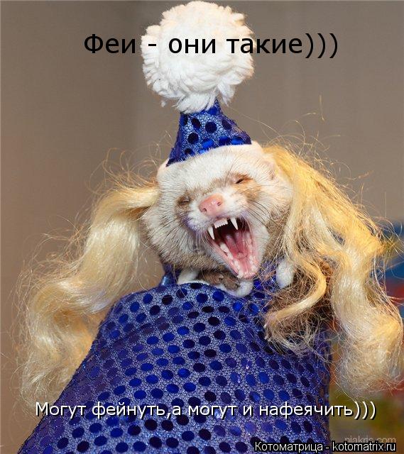 Котоматрица: Феи - они такие))) Могут фейнуть,а могут и нафеячить)))