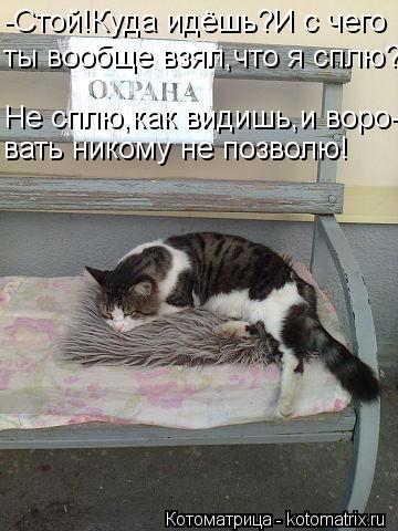 Котоматрица: -Стой!Куда идёшь?И с чего ты вообще взял,что я сплю? Не сплю,как видишь,и воро- вать никому не позволю!