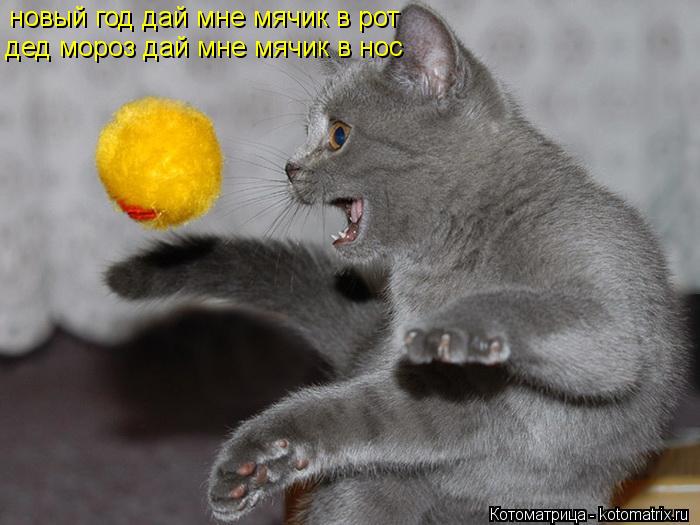 новый год дай мне мячик в рот дед мороз дай мне мячик в нос... Котоматрица: новый год дай мне мячик в рот дед мороз дай мне мячик в нос