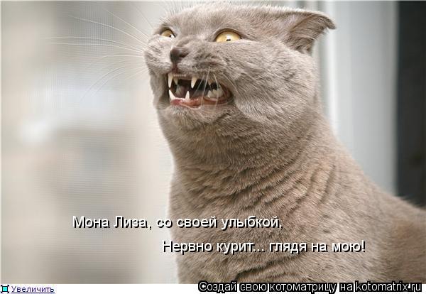 Котоматрица: Нервно курит... глядя на мою!  Мона Лиза, со своей улыбкой,