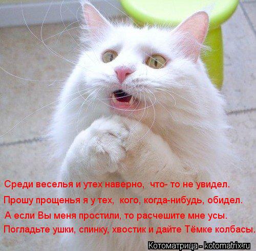 Погладьте ушки, спинку, хвостик и дайте Тёмке колбасы. А если Вы меня простили, то расчешите мне усы.... Котоматрица: Погладьте ушки, спинку, хвостик и дайте Тёмке колбасы. А если Вы меня простили, то расчешите мне усы. Прошу прощенья я у тех, кого, когда-нибу