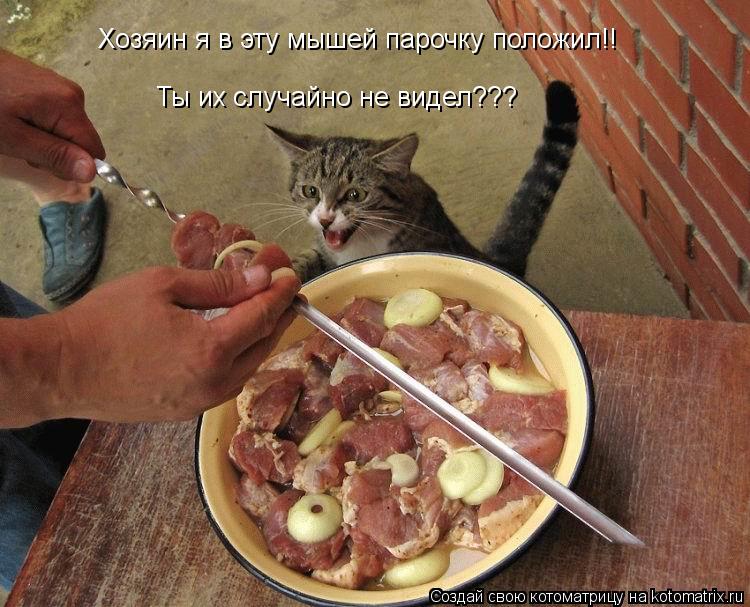Котоматрица: Хозяин я в эту мышей парочку положил!! Ты их случайно не видел???