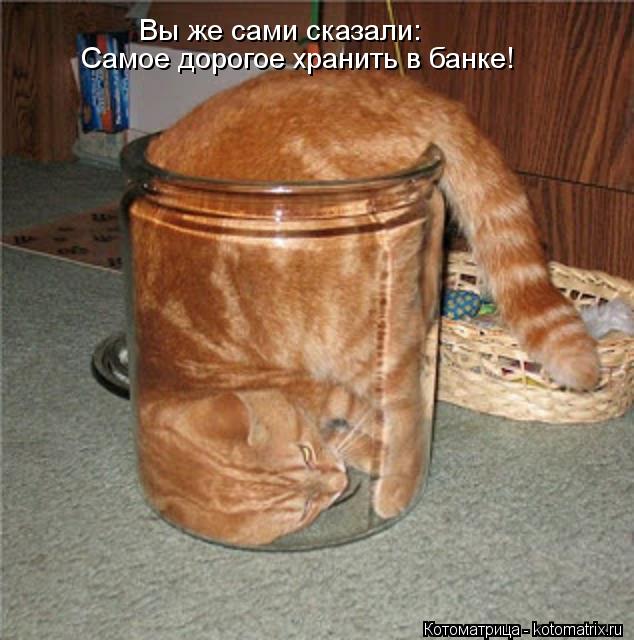 Вы же сами сказали: Самое дорогое хранить в банке!... Котоматрица: Вы же сами сказали: Самое дорогое хранить в банке!