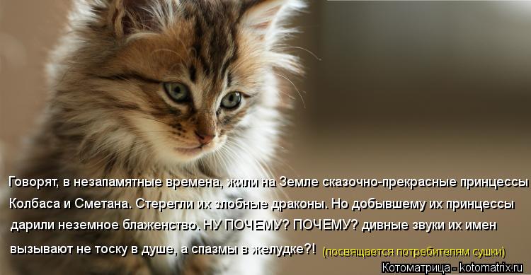 Говорят, в незапамятные времена, жили на Земле сказочно-прекрасные принцессы Колбаса и Сметана. Стер... Котоматрица: Говорят, в незапамятные времена, жили на Земле сказочно-прекрасные принцессы Колбаса и Сметана. Стерегли их злобные драконы. Но добывшему