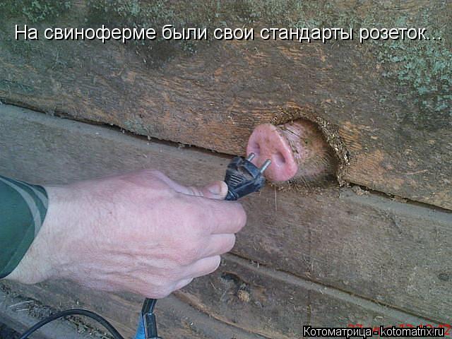 На свиноферме были свои стандарты розеток...... Котоматрица: На свиноферме были свои стандарты розеток...