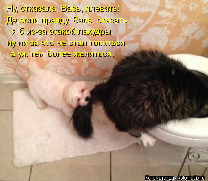 Котоматрица: Ну, отказала, Вась, плевать! Да если правду, Вась, сказать, я б из-за этакой лахудры ну ни за что не стал топиться, а уж тем более жениться.