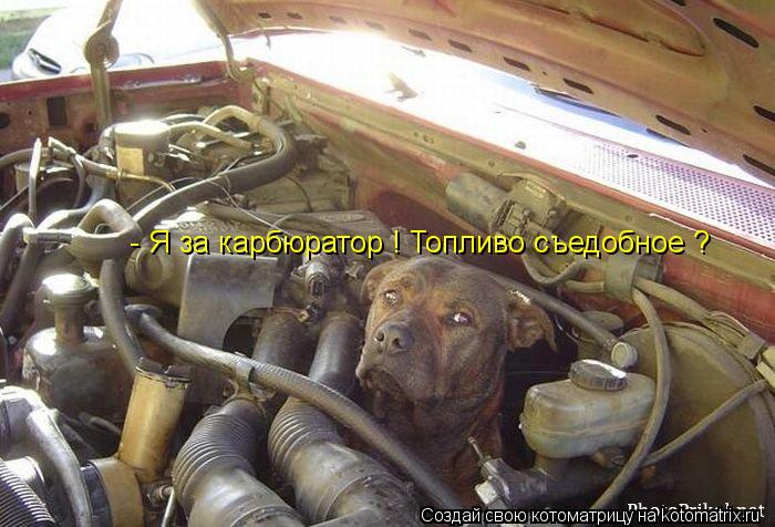 Котоматрица: - Я за карбюратор ! Топливо съедобное ?