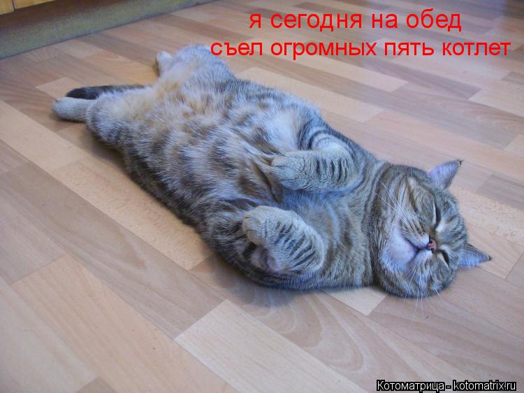 я сегодня на обед съел огромных пять котлет... Котоматрица: я сегодня на обед съел огромных пять котлет