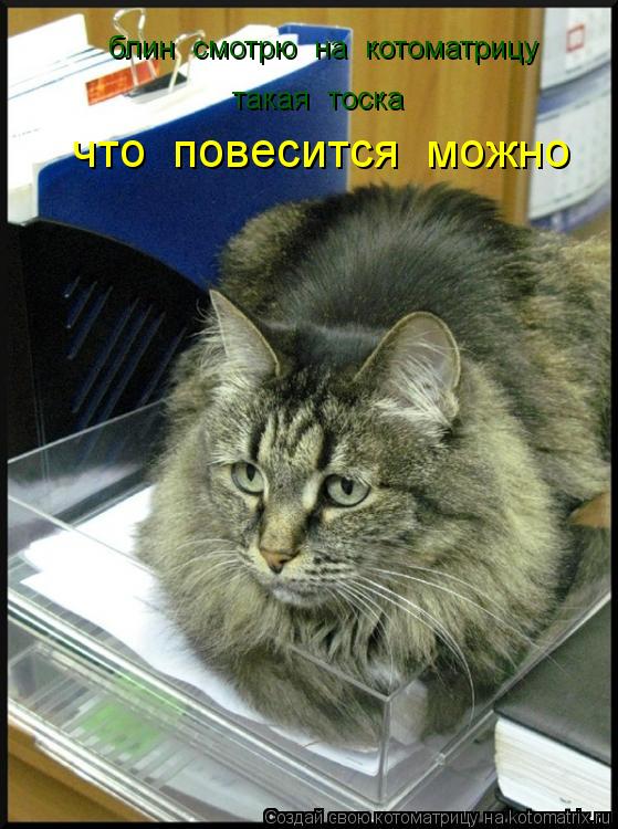 блин смотрю на котоматрицу такая тоска такая тоска что повесится можно... Котоматрица: блин смотрю на котоматрицу такая тоска такая тоска что повесится можно