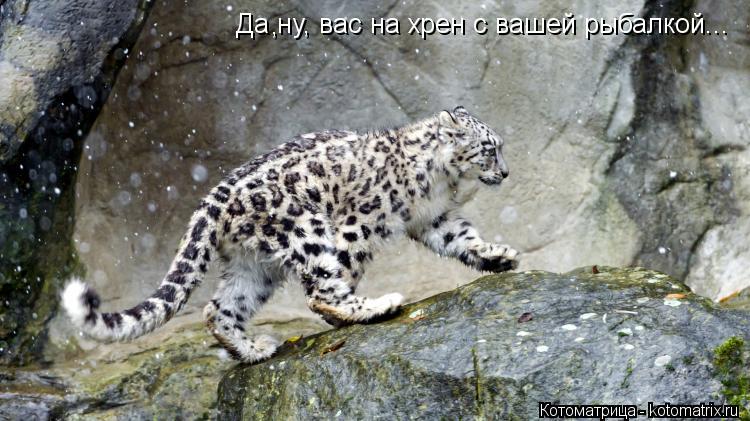 Котоматрица: Да ну, вас на хрен с вашей рыбалкой... ,