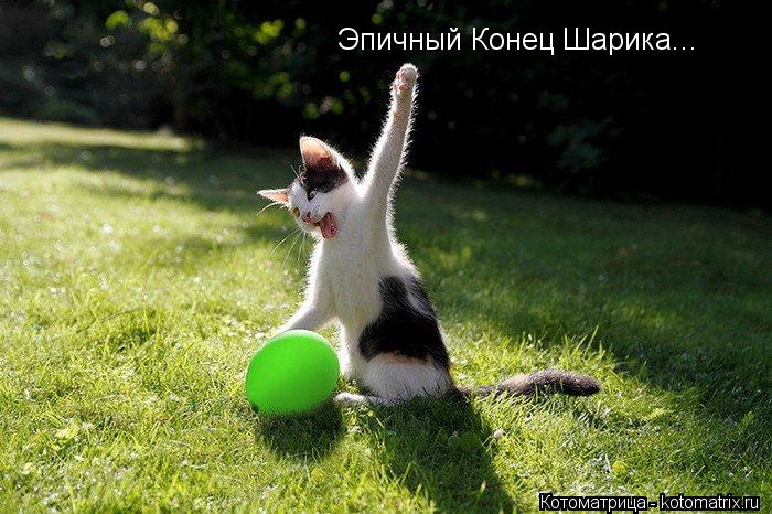 Эпичный Конец Шарика...... Котоматрица: Эпичный Конец Шарика...