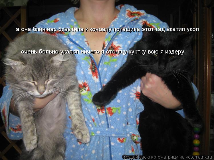 а она блин нас схватила к коновлу потащила этот гад вкатил укол очень больно укалол ничего я отомщу к... Котоматрица: а она блин нас схватила к коновлу потащила этот гад вкатил укол очень больно укалол ничего я отомщу куртку всю я издеру