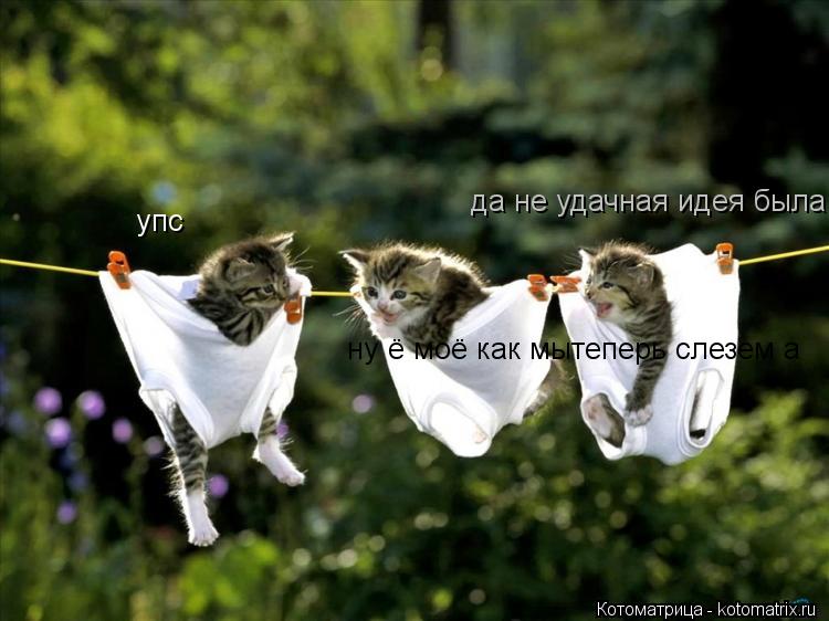 упс ну ё моё как мытеперь слезем а да не удачная идея была... Котоматрица: упс ну ё моё как мытеперь слезем а да не удачная идея была