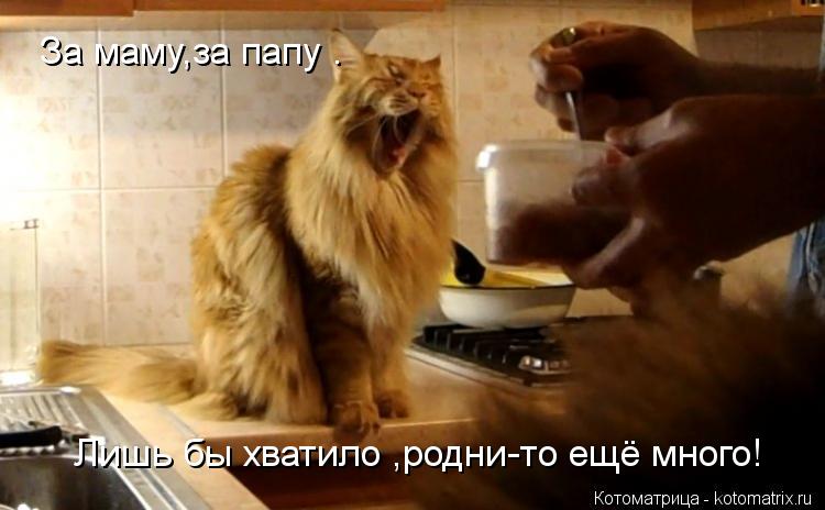 За маму,за папу . Лишь бы хватило ,родни-то ещё много!... Котоматрица: За маму,за папу . Лишь бы хватило ,родни-то ещё много!