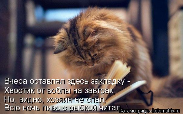 Вчера оставлял здесь закладку - Хвостик от воблы на завтрак, Но, видно, хозяин не спал, Всю ночь пиво... Котоматрица: Вчера оставлял здесь закладку - Хвостик от воблы на завтрак, Но, видно, хозяин не спал, Всю ночь пиво с рыбкой читал...