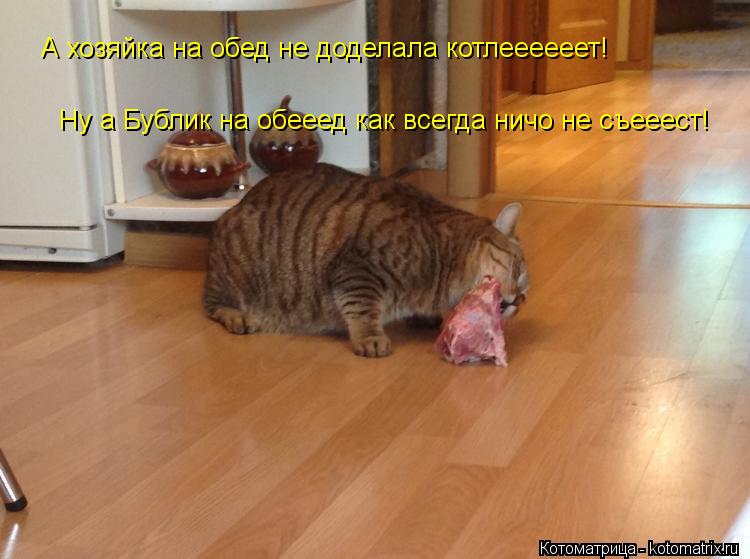 Котоматрица: А хозяйка на обед не доделала котлеееееет! Ну а Бублик на обееед как всегда ничо не съееест!