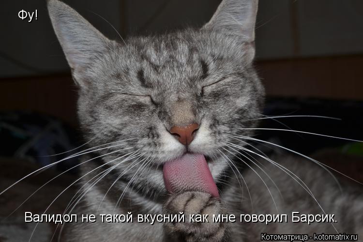 Фу! Валидол не такой вкусний как мне говорил Барсик.... Котоматрица: Фу! Валидол не такой вкусний как мне говорил Барсик.