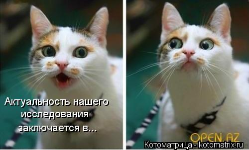 Котоматрица: Актуальность нашего исследования заключается в...