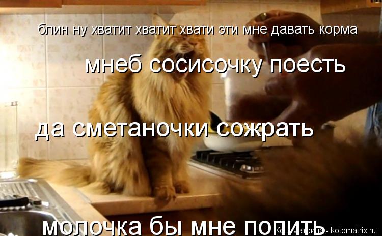 блин ну хватит хватит хвати эти мне давать корма мнеб сосисочку поесть да сметаночки сожрать молочка... Котоматрица: блин ну хватит хватит хвати эти мне давать корма мнеб сосисочку поесть да сметаночки сожрать молочка бы мне попить курочки бы отхватить