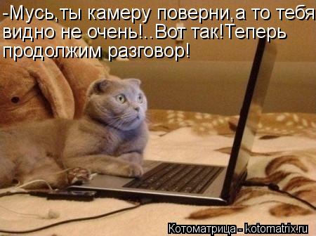 -Мусь,ты камеру поверни,а то тебя видно не очень!..Вот так!Теперь продолжим разговор!... Котоматрица: -Мусь,ты камеру поверни,а то тебя видно не очень!..Вот так!Теперь продолжим разговор!
