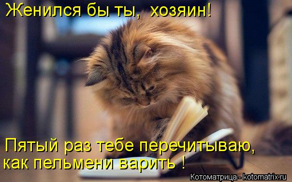 Женился бы ты, хозяин! Пятый раз тебе перечитываю, как пельмени варить !... Котоматрица: Женился бы ты, хозяин! Пятый раз тебе перечитываю, как пельмени варить !