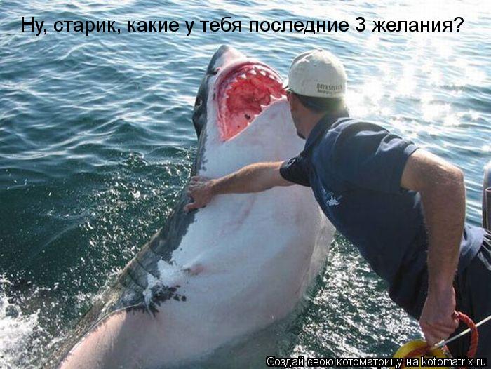 Ну, старик, какие у тебя последние 3 желания?... Котоматрица: Ну, старик, какие у тебя последние 3 желания?