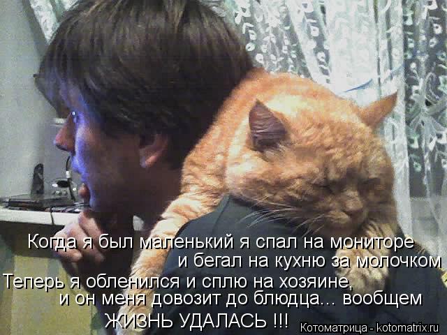 Когда я был маленький я спал на мониторе и бегал на кухню за молочком Теперь я обленился и сплю на хо... Котоматрица: Когда я был маленький я спал на мониторе и бегал на кухню за молочком Теперь я обленился и сплю на хозяине, и он меня довозит до блюдца... вооб