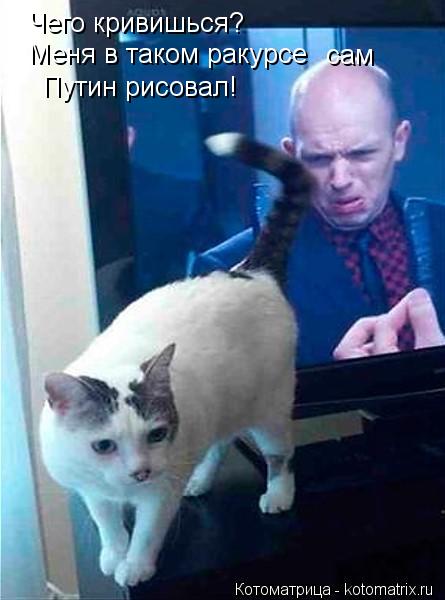 Чего кривишься? Меня в таком ракурсе сам Путин рисовал!... Котоматрица: Чего кривишься? Меня в таком ракурсе сам Путин рисовал!