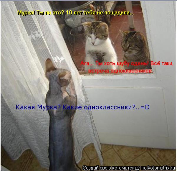 Мурка! Ты ли это? 10 лет тебя не пощадили... Ага... Ты хоть шубу одень! Всё таки, встреча одноклассни... Котоматрица: Мурка! Ты ли это? 10 лет тебя не пощадили... Ага... Ты хоть шубу одень! Всё таки, встреча одноклассников. Какая Мурка? Какие одноклассники?..=D