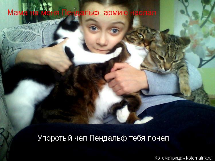 Мама на меня Пендальф армию наслал Упоротый чел Пендальф тебя понел... Котоматрица: Мама на меня Пендальф армию наслал Упоротый чел Пендальф тебя понел