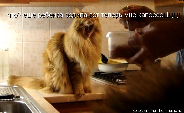 что? ещё ребёнка родила вот теперь мне капееееЦЦЦ!... Котоматрица: что? ещё ребёнка родила вот теперь мне капееееЦЦЦ!