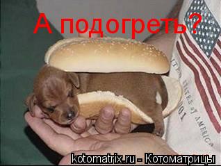 А подогреть?... Котоматрица: А подогреть?
