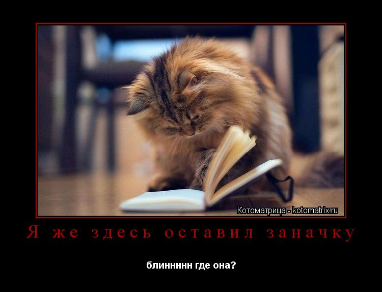 Я же здесь оставил заначку блиннннн где она?... Котоматрица: Я же здесь оставил заначку блиннннн где она?