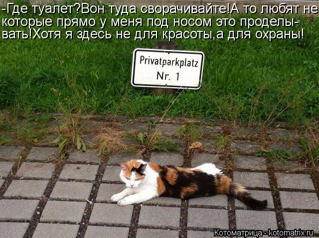 -Где туалет?Вон туда сворачивайте!А то любят не- которые прямо у меня под носом это проделы- вать!Хот... Котоматрица: -Где туалет?Вон туда сворачивайте!А то любят не- которые прямо у меня под носом это проделы- вать!Хотя я здесь не для красоты,а для охраны!