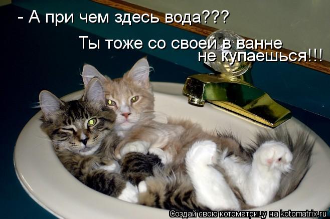 - А при чем здесь вода??? Ты тоже со своей в ванне не купаешься!!!... Котоматрица: - А при чем здесь вода??? Ты тоже со своей в ванне не купаешься!!!