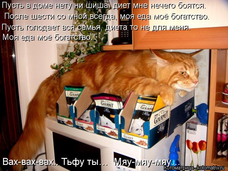 Пусть в доме нету ни шиша, диет мне нечего боятся. После шести со мной всегда, моя еда моё богатство... Котоматрица: Пусть в доме нету ни шиша, диет мне нечего боятся. После шести со мной всегда, моя еда моё богатство. Пусть голодает вся семья, диета то не дл