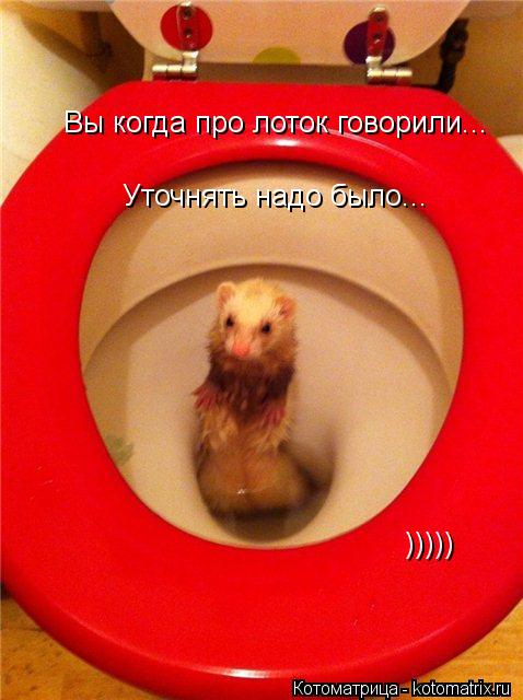 Вы когда про лоток говорили... Уточнять надо было... )))))... Котоматрица: Вы когда про лоток говорили... Уточнять надо было... )))))