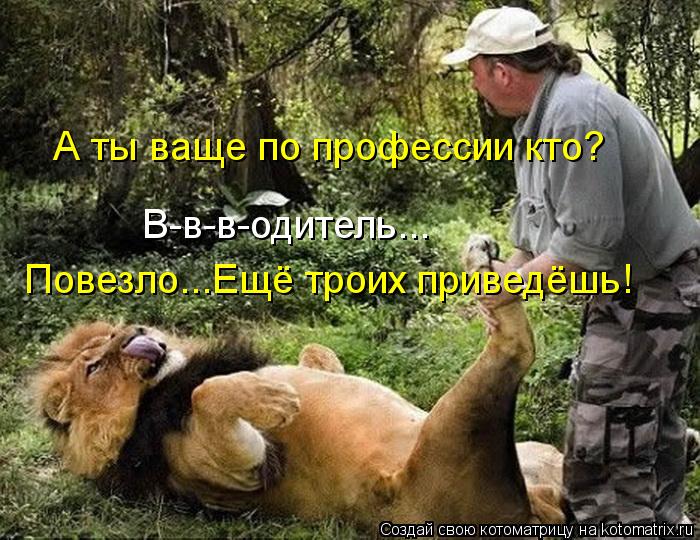 Котоматрица: В-в-в-одитель... А ты ваще по профессии кто? Повезло...Ещё троих приведёшь!