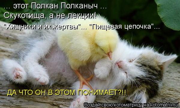... этот Полкан Полканыч ... Скукотища, а не лекции! "Хищники и их жертвы"... "Пищевая цепочка"... ДА... Котоматрица: ... этот Полкан Полканыч ... Скукотища, а не лекции! "Хищники и их жертвы"... "Пищевая цепочка"... ДА ЧТО ОН В ЭТОМ ПОНИМАЕТ?!!