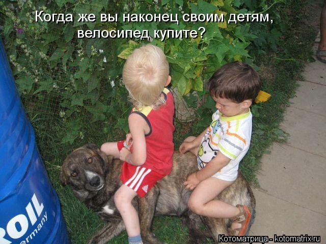 Когда же вы наконец своим детям, велосипед купите?... Котоматрица: Когда же вы наконец своим детям, велосипед купите?