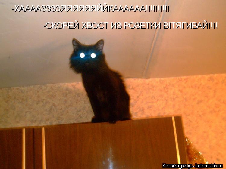 -ХААААЗЗЗЗЯЯЯЯЯЯЙЙКАААААА!!!!!!!!!! -СКОРЕЙ ХВОСТ ИЗ РОЗЕТКИ ВІТЯГИВАЙ!!!!... Котоматрица: -ХААААЗЗЗЗЯЯЯЯЯЯЙЙКАААААА!!!!!!!!!! -СКОРЕЙ ХВОСТ ИЗ РОЗЕТКИ ВІТЯГИВАЙ!!!!