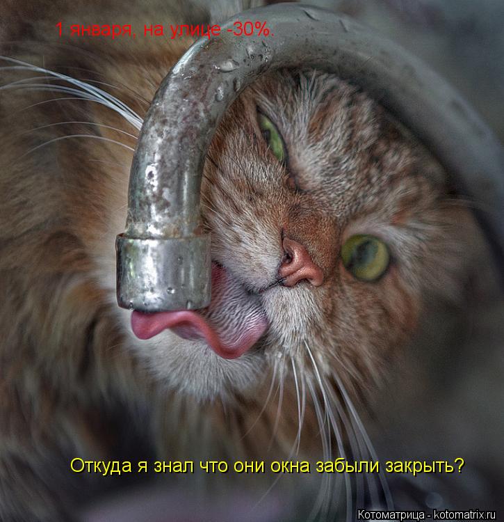 1 января, на улице -30%. Откуда я знал что они окна забыли закрыть?... Котоматрица: 1 января, на улице -30%. Откуда я знал что они окна забыли закрыть?