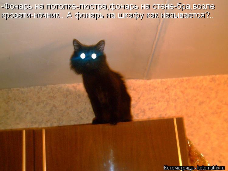 -Фонарь на потолке-люстра,фонарь на стене-бра,возле кровати-ночник...А фонарь на шкафу как называется... Котоматрица: -Фонарь на потолке-люстра,фонарь на стене-бра,возле кровати-ночник...А фонарь на шкафу как называется?..