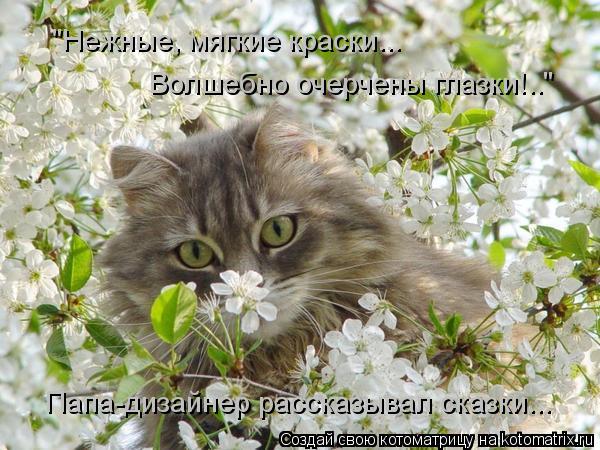 "Нежные, мягкие краски... Волшебно очерчены глазки!.." Папа-дизайнер рассказывал сказки...... Котоматрица: "Нежные, мягкие краски... Волшебно очерчены глазки!.." Папа-дизайнер рассказывал сказки...