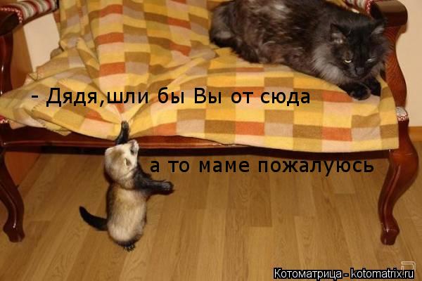 - Дядя,шли бы Вы от сюда а то маме пожалуюсь... Котоматрица: - Дядя,шли бы Вы от сюда а то маме пожалуюсь