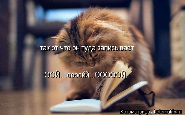 ООЙ....оооойй...ОООООЙ. так от что он туда записывает... Котоматрица: ООЙ....оооойй...ОООООЙ. так от что он туда записывает