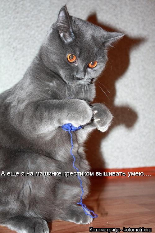 А еще я на машинке крестиком вышивать умею....... Котоматрица: А еще я на машинке крестиком вышивать умею....