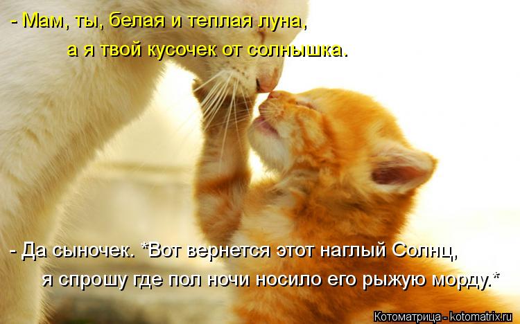 - Мам, ты, белая и теплая луна, а я твой кусочек от солнышка. - Да сыночек. *Вот вернется этот наглы... Котоматрица: - Мам, ты, белая и теплая луна, а я твой кусочек от солнышка. - Да сыночек. *Вот вернется этот наглый Солнц, я спрошу где пол ночи носило его рыж
