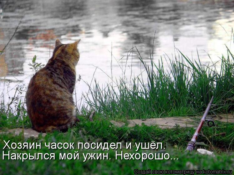 Накрылся мой ужин. Нехорошо... Хозяин часок посидел и ушёл.... Котоматрица: Накрылся мой ужин. Нехорошо... Хозяин часок посидел и ушёл.