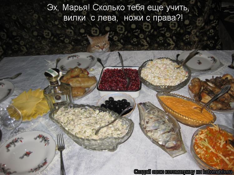 Эх, Марья! Сколько тебя еще учить, вилки с лева, ножи с права?!... Котоматрица: Эх, Марья! Сколько тебя еще учить, вилки с лева, ножи с права?!